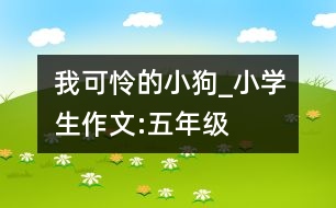 我可憐的小狗_小學(xué)生作文:五年級