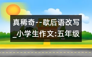 真稀奇--歇后語(yǔ)改寫(xiě)_小學(xué)生作文:五年級(jí)