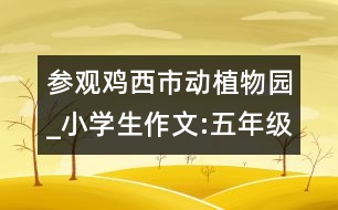 參觀雞西市動植物園_小學(xué)生作文:五年級