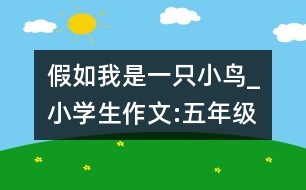 假如我是一只小鳥(niǎo)_小學(xué)生作文:五年級(jí)