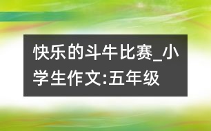 快樂(lè)的“斗?！北荣恄小學(xué)生作文:五年級(jí)