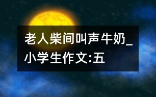 老人、柴間、叫聲、牛奶_小學生作文:五年級