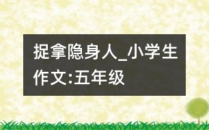 捉拿隱身人_小學(xué)生作文:五年級(jí)