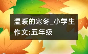 溫暖的寒冬_小學(xué)生作文:五年級