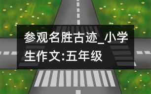 參觀名勝古跡_小學(xué)生作文:五年級(jí)