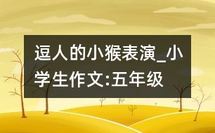 逗人的小猴表演_小學(xué)生作文:五年級