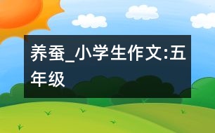 養(yǎng)蠶_小學(xué)生作文:五年級(jí)