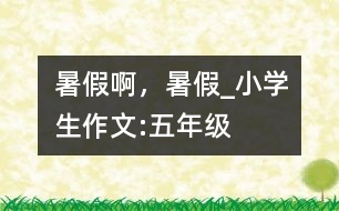 暑假啊，暑假_小學(xué)生作文:五年級