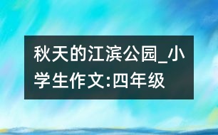 秋天的江濱公園_小學(xué)生作文:四年級(jí)