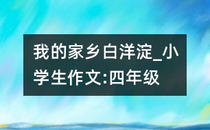 我的家鄉(xiāng)白洋淀_小學(xué)生作文:四年級(jí)