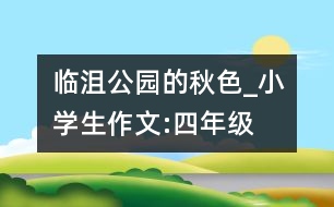 臨沮公園的秋色_小學生作文:四年級