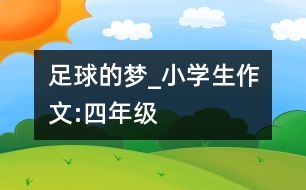 足球的夢(mèng)_小學(xué)生作文:四年級(jí)