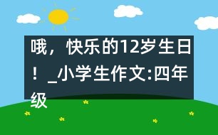 哦，快樂(lè)的12歲生日！_小學(xué)生作文:四年級(jí)