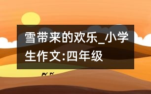 雪帶來的歡樂_小學生作文:四年級