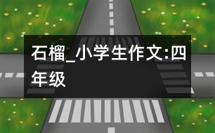 石榴_小學(xué)生作文:四年級(jí)