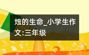 燭的生命_小學生作文:三年級