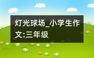 燈光球場(chǎng)_小學(xué)生作文:三年級(jí)