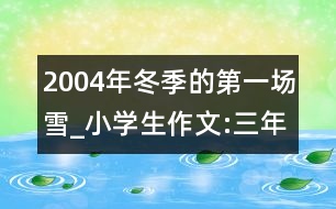 2004年冬季的第一場雪_小學(xué)生作文:三年級