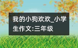 我的小狗歡歡_小學生作文:三年級