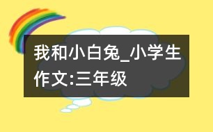 我和小白兔_小學生作文:三年級