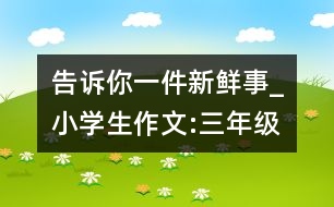 告訴你一件新鮮事_小學(xué)生作文:三年級(jí)