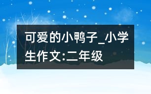 可愛(ài)的小鴨子_小學(xué)生作文:二年級(jí)