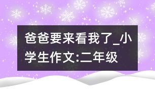 爸爸要來看我了_小學生作文:二年級