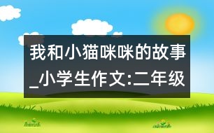 我和小貓咪咪的故事_小學(xué)生作文:二年級