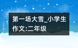 第一場大雪_小學生作文:二年級