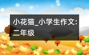 小花貓_小學(xué)生作文:二年級