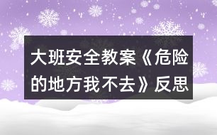 大班安全教案《危險的地方我不去》反思