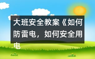 大班安全教案《如何防雷電，如何安全用電》反思