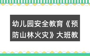 幼兒園安全教育《預(yù)防山林火災(zāi)》大班教案