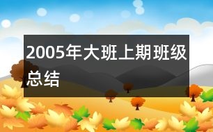 2005年大班上期班級(jí)總結(jié)