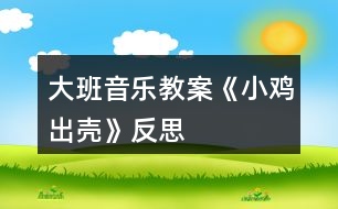 大班音樂教案《小雞出殼》反思