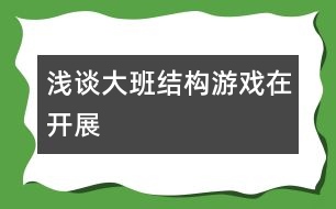 淺談大班結(jié)構(gòu)游戲在開展