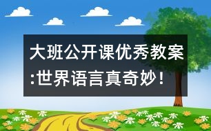 大班公開課優(yōu)秀教案:世界語言真奇妙！