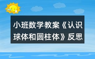 小班數(shù)學(xué)教案《認識球體和圓柱體》反思