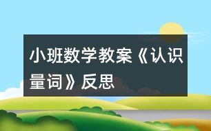 小班數(shù)學(xué)教案《認(rèn)識量詞》反思