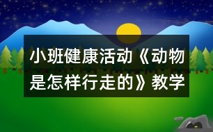 小班健康活動(dòng)《動(dòng)物是怎樣行走的》教學(xué)設(shè)計(jì)反思