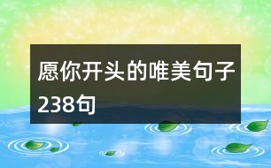 愿你開(kāi)頭的唯美句子238句