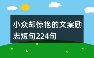 小眾卻驚艷的文案勵志短句224句