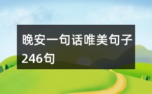 晚安一句話唯美句子246句