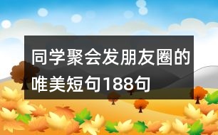 同學(xué)聚會(huì)發(fā)朋友圈的唯美短句188句