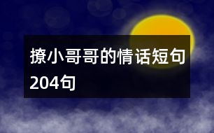 撩小哥哥的情話(huà)短句204句