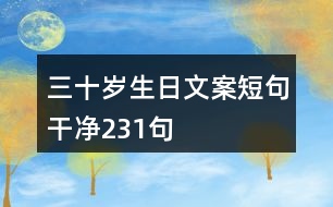 三十歲生日文案短句干凈231句