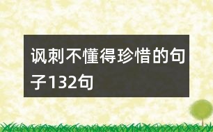 諷刺不懂得珍惜的句子132句