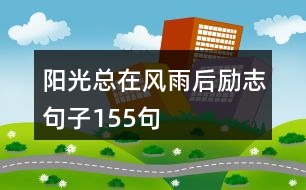 陽光總在風(fēng)雨后勵志句子155句