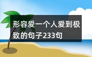 形容愛一個人愛到極致的句子233句