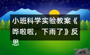 小班科學實驗教案《嘩啦啦，下雨了》反思